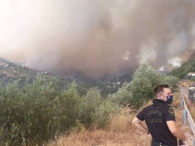 Μεσσηνία: Συνεχίζεται η διανομή ζωοτροφών σε πυρόπληκτους (βίντεο)