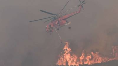 Φωτιά: Αναζωπύρωση στο μέτωπο στην Ηλεία - Εκκενώσεις στην Αμφισσα- Νέα πυρκαγιά στη Ζάκυνθο