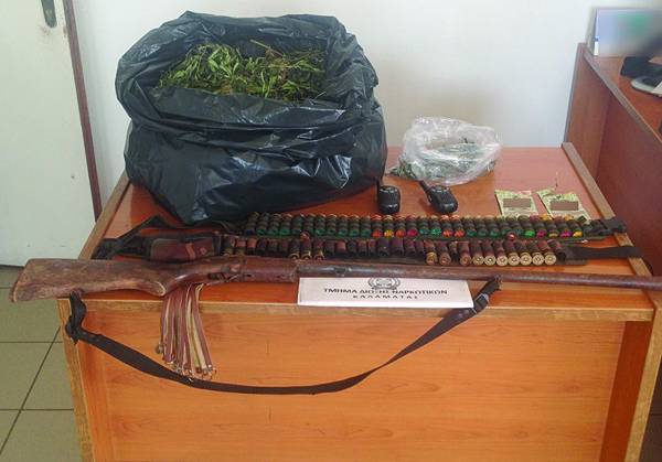 3 συλλήψεις για χασισοφυτεία στην Αμφεια