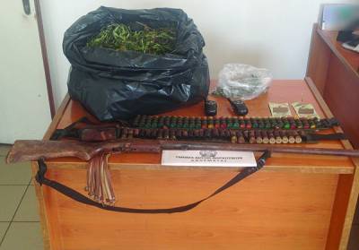 3 συλλήψεις για χασισοφυτεία στην Αμφεια