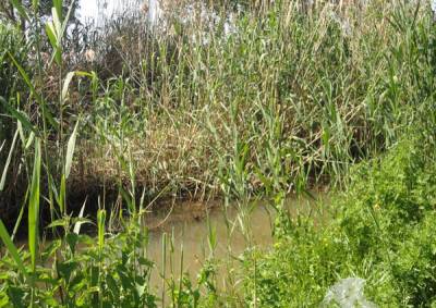 79% έκπτωση για τον καθαρισμό της Λιγδούς