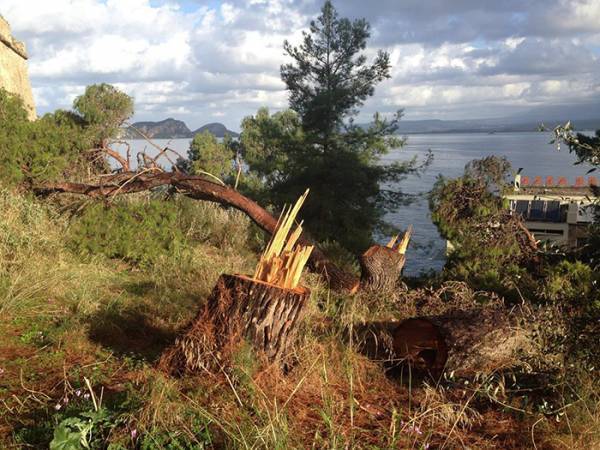 Αποκατάσταση του χώρου γύρω από το Νιόκαστρο