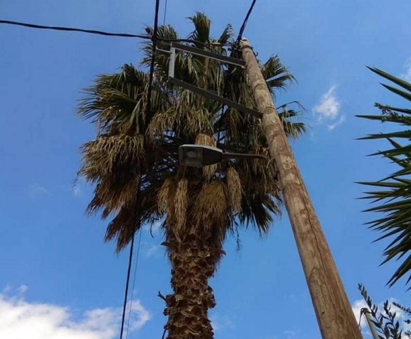 Κλαδιά στα καλώδια