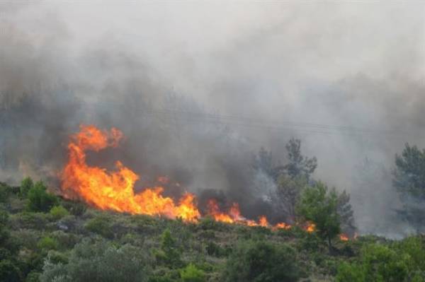 Πυρκαγιά στην Σίλίμνα Αρκαδίας