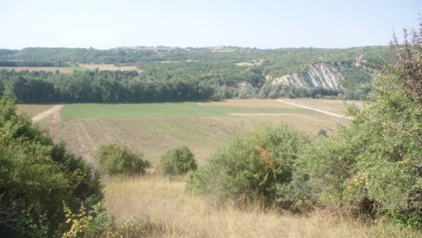 Απόφαση Τατούλη για αναδασμό