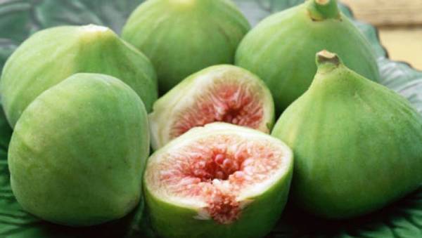 Θολή η εικόνα για την παραγωγή σύκου στη Μεσσηνία