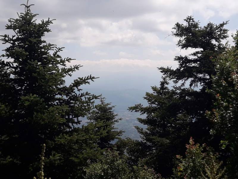 Δημοτικό Συμβούλιο Καλαμάτας: Αρνητική γνωμοδότηση για μικρό υδροηλεκτρικό στον Ταϋγετο