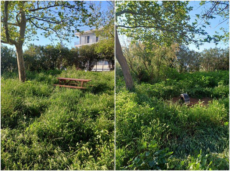 Σύλλογος Εκπαιδευτικών Πρωτοβάθμιας Εκπαίδευσης Μεσσηνίας: Παρέμβαση για τα προβλήματα στα σχολεία