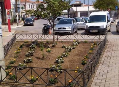 Χρώματα και αρώματα στον πεζόδρομο Φιλιατρών