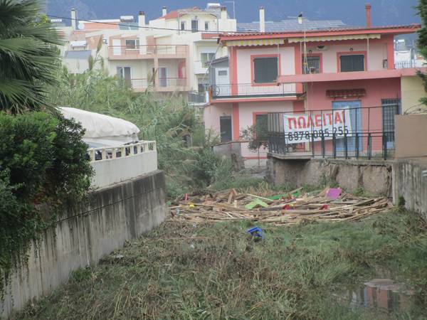 Ξύλα στο ρέμα