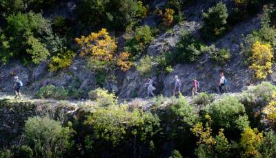 Αναβάθμιση και εμπλουτισμός περιπατητικών διαδρομών του Δήμου Καλαμάτας