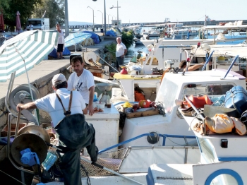 Μείωση αλιευμάτων στο Μεσσηνιακό 