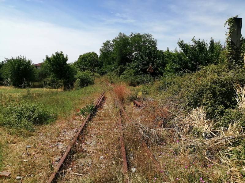 Κίνημα Διάσωσης κι Επαναλειτουργίας Σιδηροδρόμου Πελοποννήσου: “Το τρένο αργεί να σφυρίξει, να μην δημιουργούνται ψευδαισθήσεις”