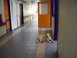 Ερώτηση Πετράκου, Ζαχαριά για το ΚΑΦΚΑ Φιλιατρών