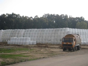 Απομακρύνονται σκουπιδοδέματα από Μαραθόλακκα και Θουρία