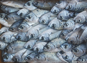 Καταστήματα πωλούσαν κατεψυγμένα για νωπά