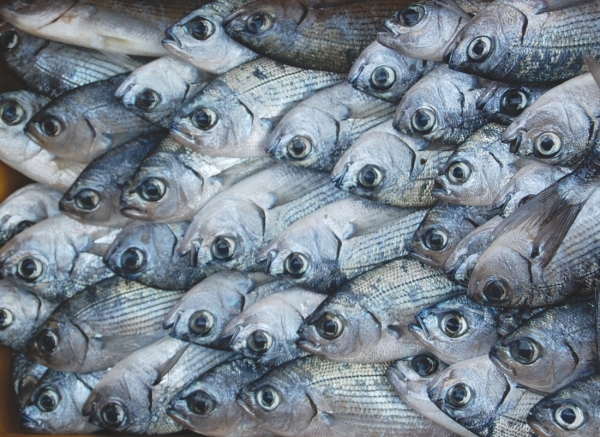 Καταστήματα πωλούσαν κατεψυγμένα για νωπά