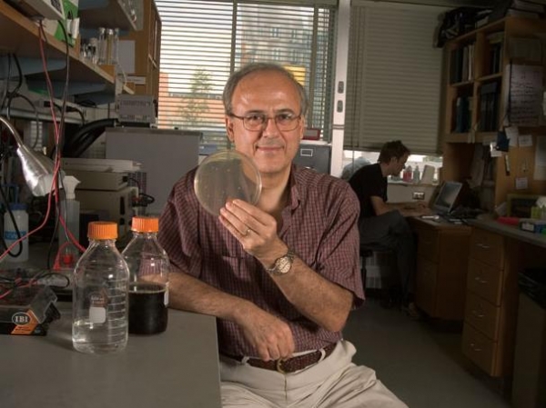 Ακαδημαϊκός ο Μεσσήνιος καθηγητής Γρ. Στεφανόπουλος