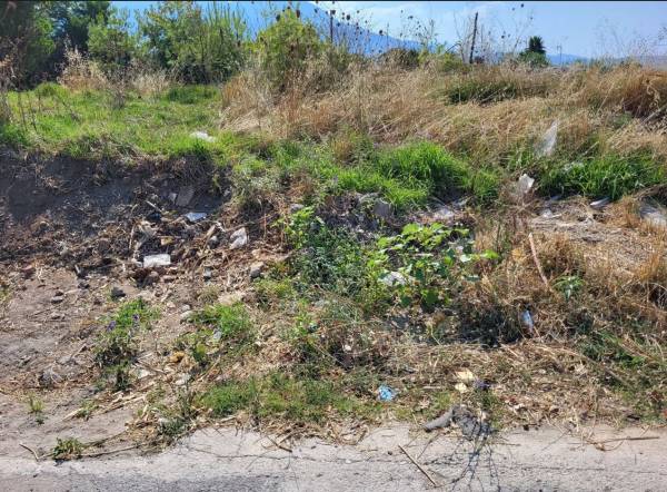 Διαμαρτυρία για την κατάσταση στις εκβολές του Νέδοντα