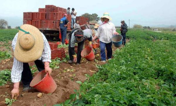 Μισό δις επιδοτήσεις θα επιστρέψουν οι αγρότες