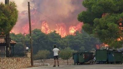Ο τραγικός απολογισμός από τις 83 πυρκαγιές στη Ζάκυνθο