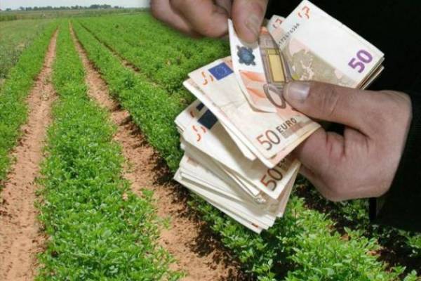 Νέα ταλαιπωρία αγροτών για ενεργοποίηση δικαιωμάτων