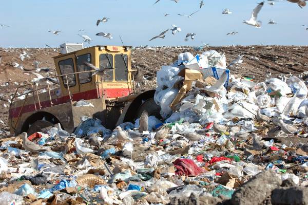 Ο Τατούλης υπογράφει οσονούπω με την “Τέρνα”