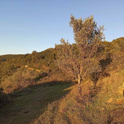 Ανάγκη αλλαγής της αγροτικής πολιτικής