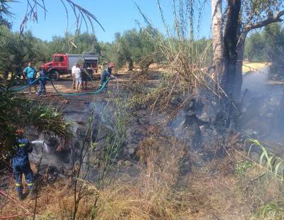 Μεσσηνία: Φωτιά στο Χαλαζόνι