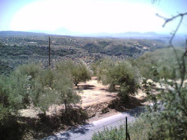 Εργασίες βελτίωσης του δρόμου για το Ανάκτορο του Νέστορα