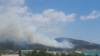Πύρινη απειλή στην Καβάλα κοντά σε κατοικημένη περιοχή (βίντεο)