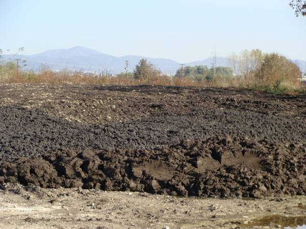 Προωθείται η αδειοδότηση της ΜΟΛΑΚ για επεξεργασία λυματολάσπης
