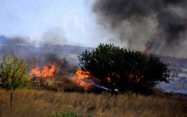 Πυρκαγιά στα Πυργιώτικα Αργολίδας