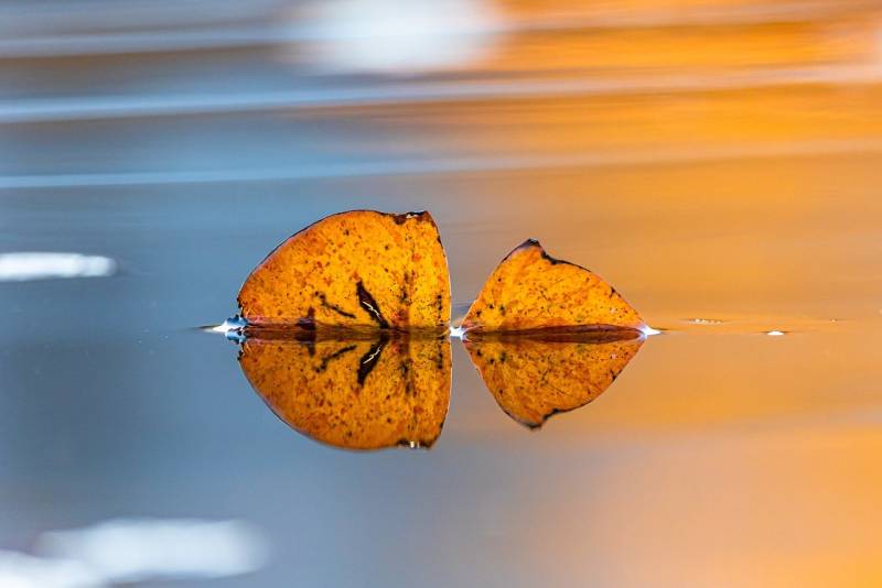 Αστρολογία – 14/12/2024