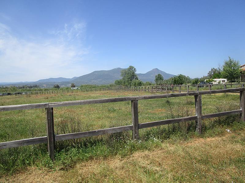 Για το Ιππικό Κέντρο του Πλατύ