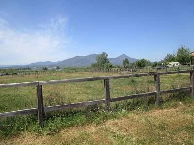 Για το Ιππικό Κέντρο του Πλατύ