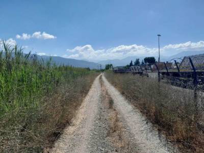 Παραμένει η “ζούγκλα” γύρω από το Αεροδρόμιο
