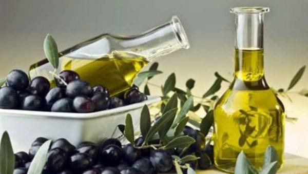 Ελιά και ελαιόλαδο Καλαμάτας προστατευόμενα στην Κίνα