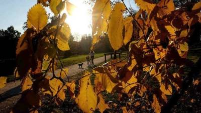 Καλός καιρός αναμένεται την Κυριακή - Αναλυτική πρόγνωση