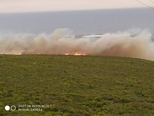 Στα Φιλιατρά η πρώτη μεγάλη πυρκαγιά
