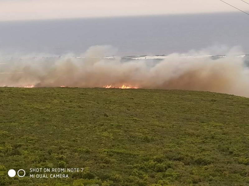 Στα Φιλιατρά η πρώτη μεγάλη πυρκαγιά