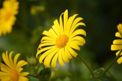 Τι λένε τα ζώδια σήμερα (21/3)