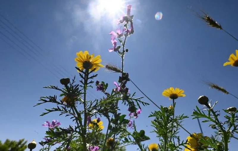 Καιρός: Επιστρέφει η άνοιξη σήμερα (Βίντεο)