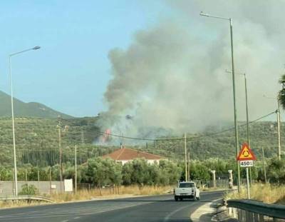 Οικονομάκου για ένταξη Ανθειας στις πυρόπληκτες περιοχές