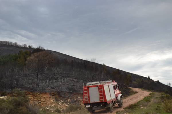 Μπαράζ πυρκαγιών χθες στην Τριφυλία