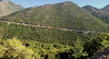 3,3 εκ. ευρώ για το δρόμο Μηλέα - Παναγία Γιάτρισσα