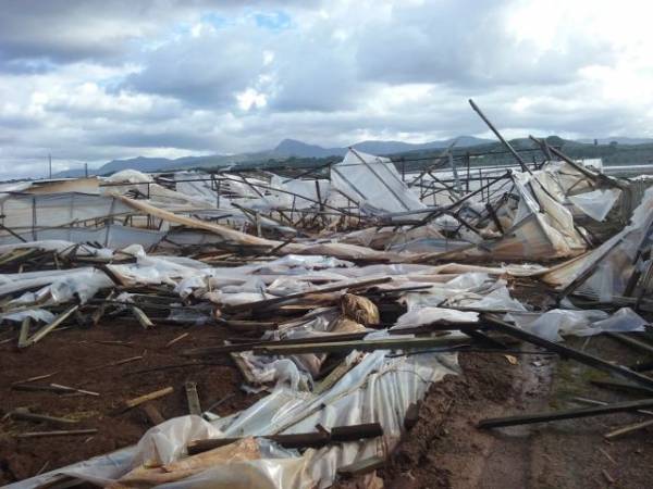 Μεγάλες ζημιές από ανεμοστρόβιλο και χαλάζι στην Τριφυλία (φωτογραφίες)