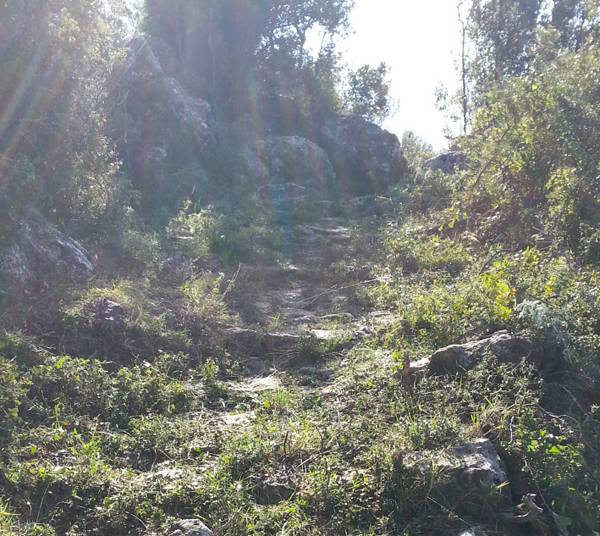 Πεζοπορία στα καλντερίμια της Βέργας