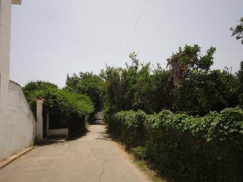 Ο Δήμος Καλαμάτας "ψήνει" το ΥΠΕΚΑ για το σχέδιο Κηπούπολης