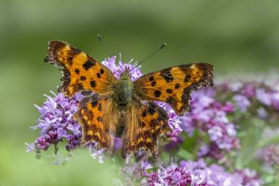 Αστρολογία – 09/04/2024